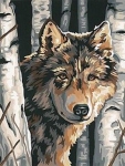 DIMENSIONS 91325 WOLF AMONG BIRCHES PAINT BY NUMBER ( 9 PULGX12 PULG )
