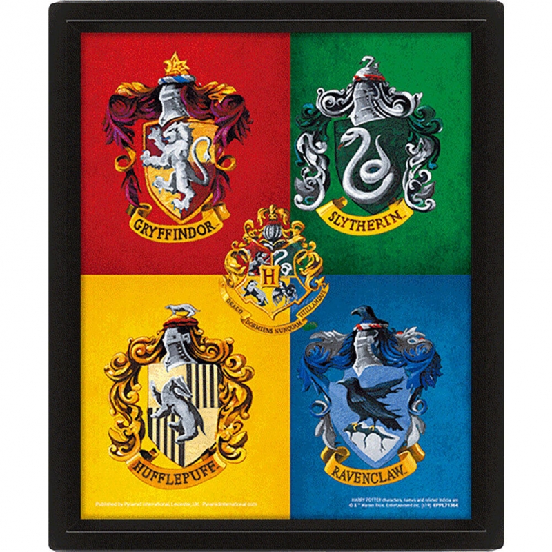 mirax-hobbies-smartcible-eppl71364-poster-3d-harry-potter-colourful