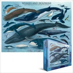 EUROGRAPHICS 6000-0082 WHALES & DOLPHINS PUZZLE 1000 PIEZAS