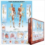 EUROGRAPHICS 6000-1000 THE HUMAN BODY PUZZLE 1000 PIEZAS