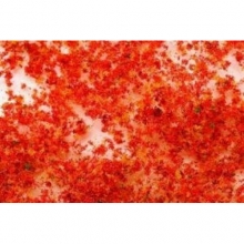 BACHMANN 32614 SS LATE FALL MEDIUM FOLIAGE