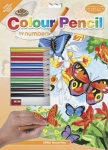 ROYAL CPN2 PENCIL BY NUMBER BUTTERFLIES 9X12