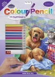 ROYAL CPN9 PENCIL BY NUMBER WASH DAY FUN 9X12
