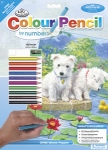 ROYAL CPN8 COLOUR BY - PENCIL WESTIES