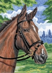ROYAL CPNMIN-101 HORSE MINI COLOUR PENCIL BY NU