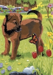 ROYAL CPNMIN-106 PUPPY & BUTTERFLY MINI COLOUR