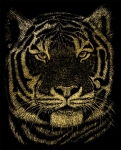 ROYAL GOLF23 GOLD ENGRAVING BENGAL TIGER