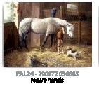 ROYAL PAL24 PBN ADULT LG NEW FRIENDS