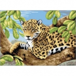 ROYAL PJL11 PBN JR LG LEOPARD IN TREE