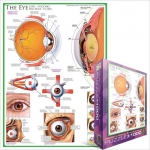 EUROGRAPHICS 6000-0260 THE EYE PUZZLE 1000 PIEZAS