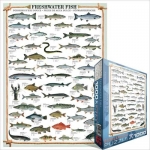 EUROGRAPHICS 6000-0312 FRESHWATER FISH PUZZLE 1000 PIEZAS