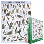 EUROGRAPHICS 6000-0316 BIRDS OF PREY AND OWLS PUZZLE 1000 PIEZAS