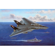 HOBBYBOSS 80367 F 14 B TOMCAT 1:48