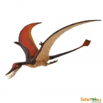 SAFARI 300329 RHAMPHORHYNCHUS