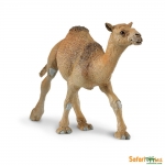 SAFARI 222429 CAMELLO ARABIGO