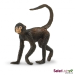 SAFARI 291629 MONO ARAA