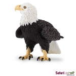 SAFARI 291129 AGUILA CALVA