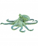 SAFARI 200929 PULPO