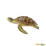 SAFARI 220229 TORTUGA BOBA