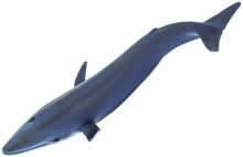 SAFARI 223229 BALLENA AZUL