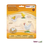 SAFARI 662816 CICLO DE VIDA DE UNA GALLINA