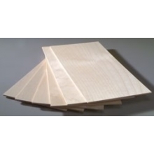 Descripci&oacute;n
