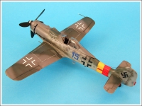 TAMIYA 61041 FW 190 D 1:48