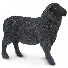 SAFARI 162229 BLACK SHEEP | NEW