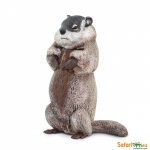 SAFARI 100118 MARMOTA