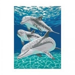 DIMENSIONS 91326 SUNLIT PALS ( DOLPHINS ) PAINT BY NUMBER ( 9 PULGX12 PULG )
