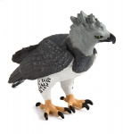 SAFARI 150929 AGUILA HARPIA