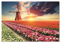 EDUCA 18465 PUZZLE 1500 PIEZAS TULIPS LANDSCAPE