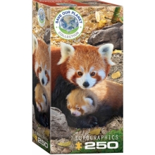 EUROGRAPHICS 8251-5557 RED PANDAS PUZZLE 250 PIEZAS