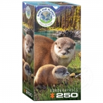 EUROGRAPHICS 8251-5558 OTTERS PUZZLE 250 PIEZAS