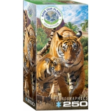 EUROGRAPHICS 8251-5559 TIGERS PUZZLE 250 PIEZAS