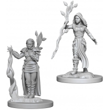 WIZKIDS 72640 D & D NOLZURS MARVELOUS MINIATURES HUMAN FEMALE DRUID