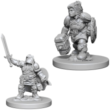 WIZKIDS 72631 D & D NOLZURS MARVELOUS MINIATURES DWARF FEMALE PALADIN