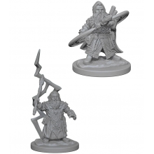 WIZKIDS 73188 PATHFINDER DEEP CUTS DWARF MALE SORCERER
