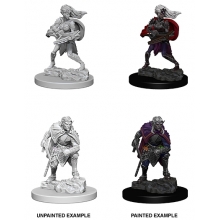 WIZKIDS 73189 D & D NOLZURS MARVELOUS MINIATURES DROW