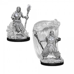 WIZKIDS 73337 D & D NOLZURS MARVELOUS MINIATURES WATER GENASI MALE DRUID