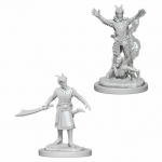 WIZKIDS 73388 D & D NOLZURS MARVELOUS MINIATURES TIEFLING MALE WARLOCK