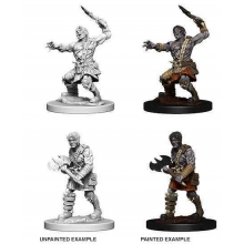 WIZKIDS 73398 D & D NOLZURS MARVELOUS MINIATURES NAMELESS ONE