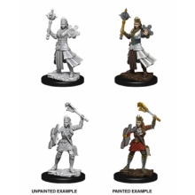 WIZKIDS 73671 D & D NOLZURS MARVELOUS MINIATURES HUMAN FEMALE CLERIC