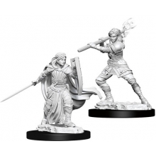 WIZKIDS 73830 D & D NOLZURS MARVELOUS MINIATURES FEMALE HUMAN PALADIN