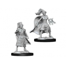 WIZKIDS 73832 D & D NOLZURS MARVELOUS MINIATURES FEMALE HUMAN SORCERER
