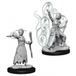 WIZKIDS 73837 D & D NOLZURS MARVELOUS MINIATURES FEMALE HUMAN WARLOCK