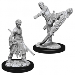 WIZKIDS 73838 D & D NOLZURS MARVELOUS MINIATURES MALE HALF ELF MONK