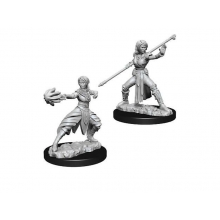 WIZKIDS 73839 D & D NOLZURS MARVELOUS MINIATURES FEMALE HALF ELF MONK