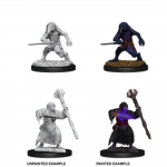 WIZKIDS 73840 D & D NOLZURS MARVELOUS MINIATURES KENKU ADVENTURES