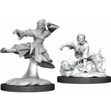 WIZKIDS 90008 D & D NOLZURS MARVELOUS MINIATURES FEMALE HUMAN MONK